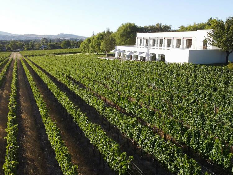 The 13 best wine estates around Cape Town