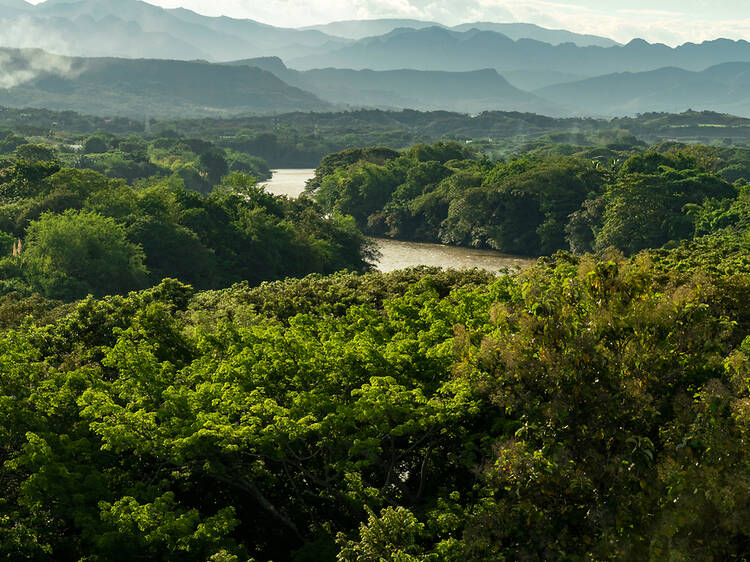 Cruise the Colombian river that inspired ‘Love in the Time of Cholera’