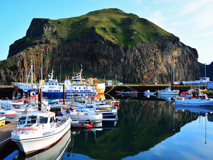 Go to a new food festival on a remote Icelandic island