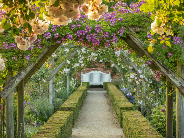 12 flower-filled day trips from London
