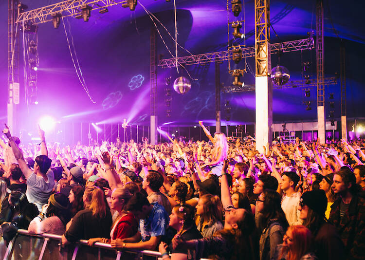 The music festival scene in NSW and Australia is tanking – here's what's going on