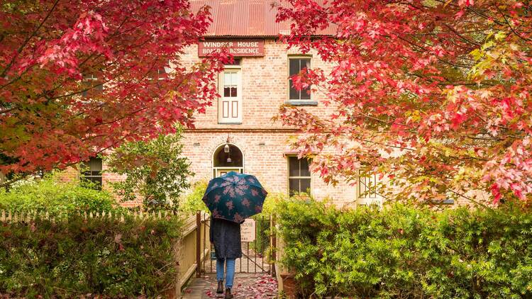 The best places to see autumn leaves in Melbourne