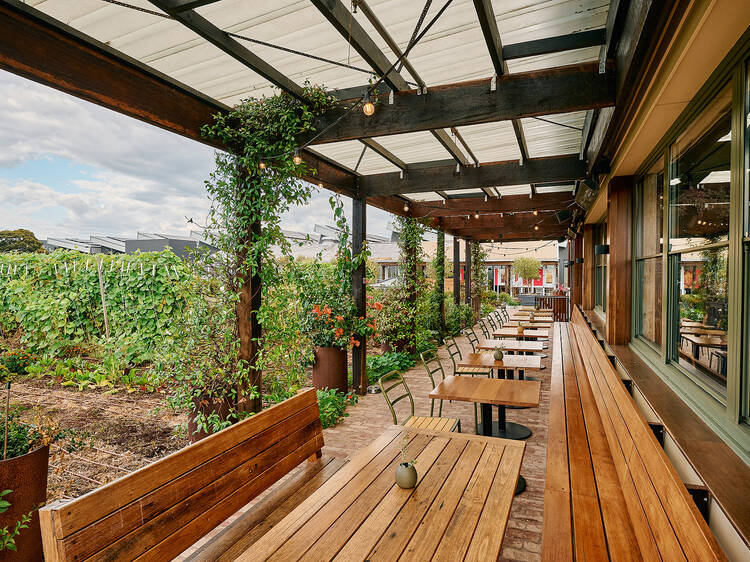 Burwood scores Rombe: a sun-drenched new rooftop restaurant set among lush gardens