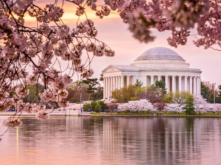 Washington DC, USA